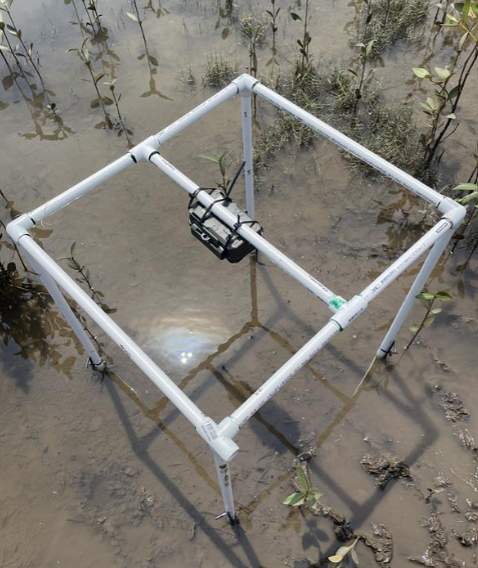 Four legged camera rig deployed in the field